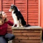 How to Build a Featheredge Garden Storage Chest Box