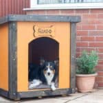 personalised plywood dog kennel