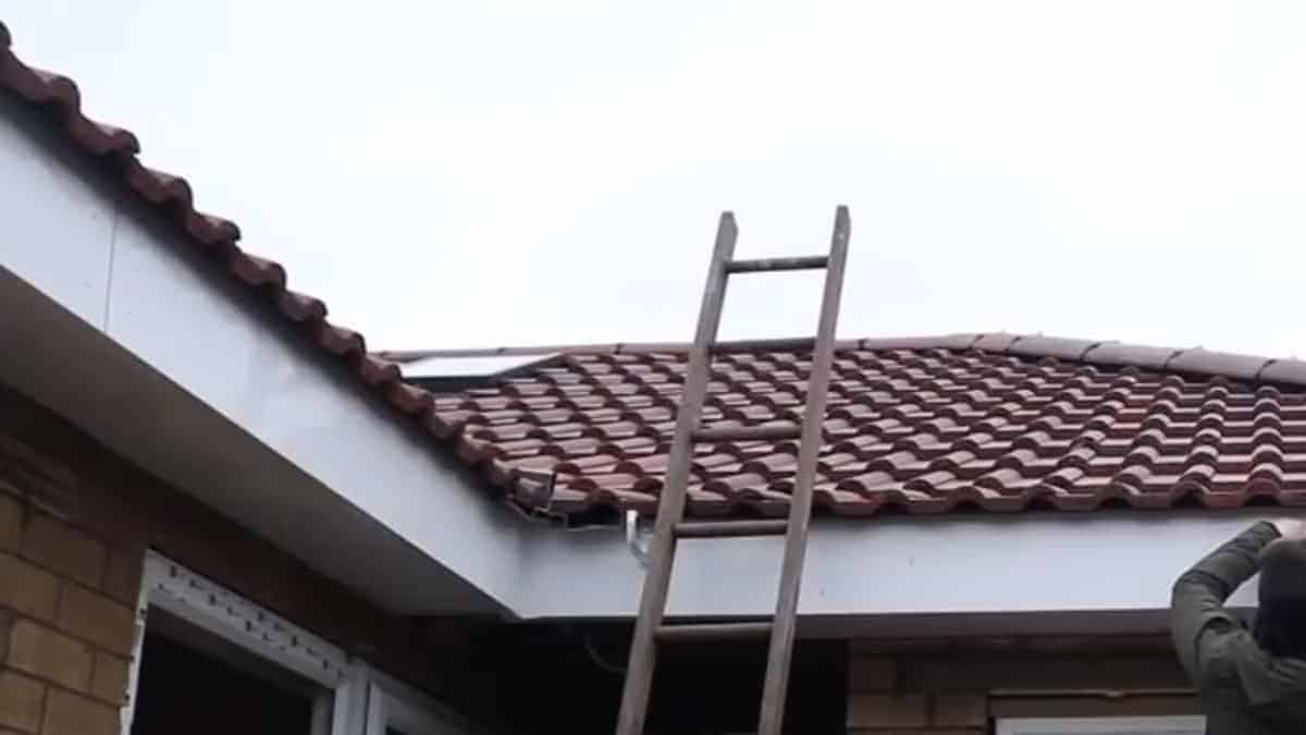 velux window in roof