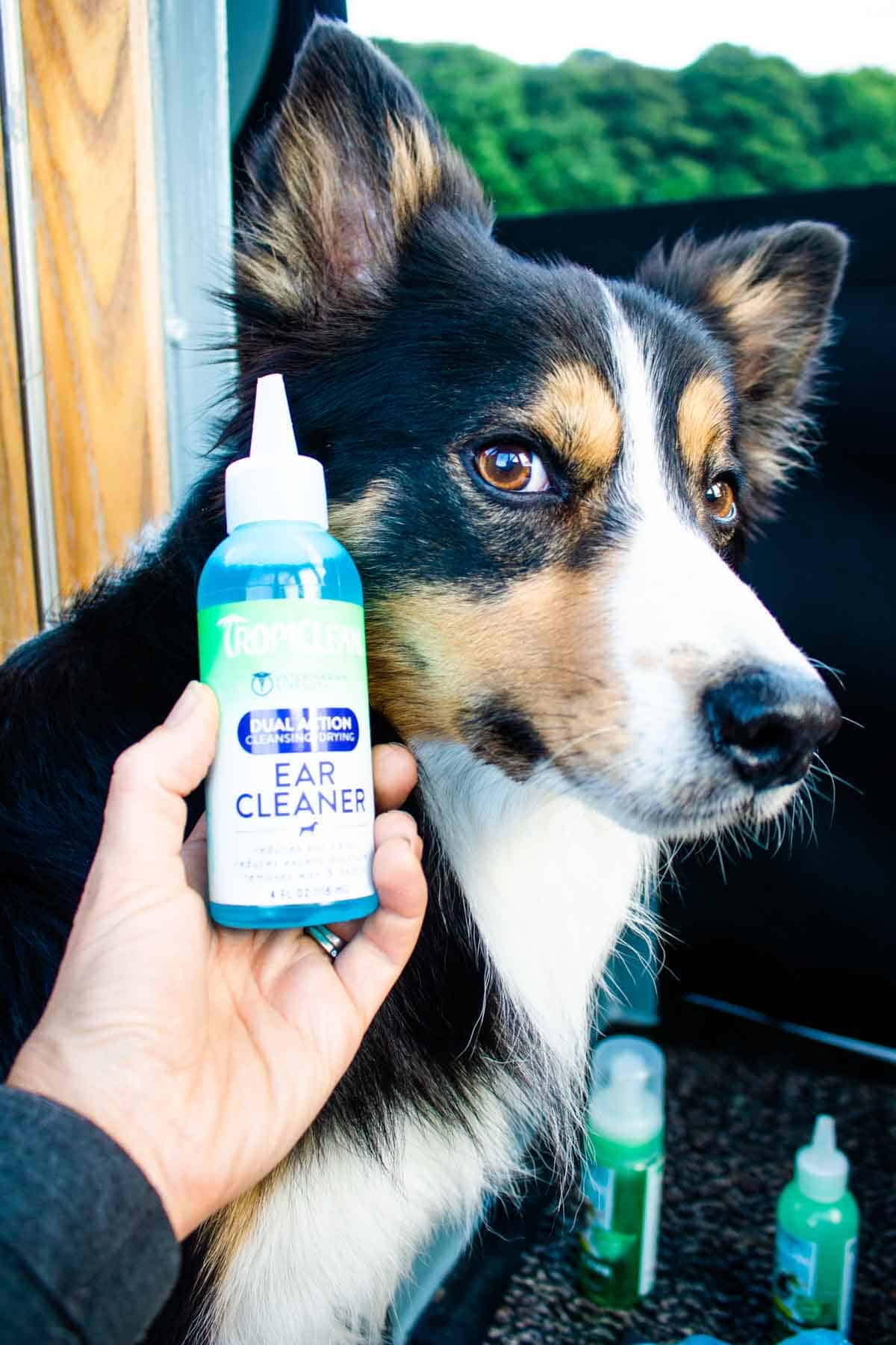 Dog next to Tropiclean Ear Cleaner liquid