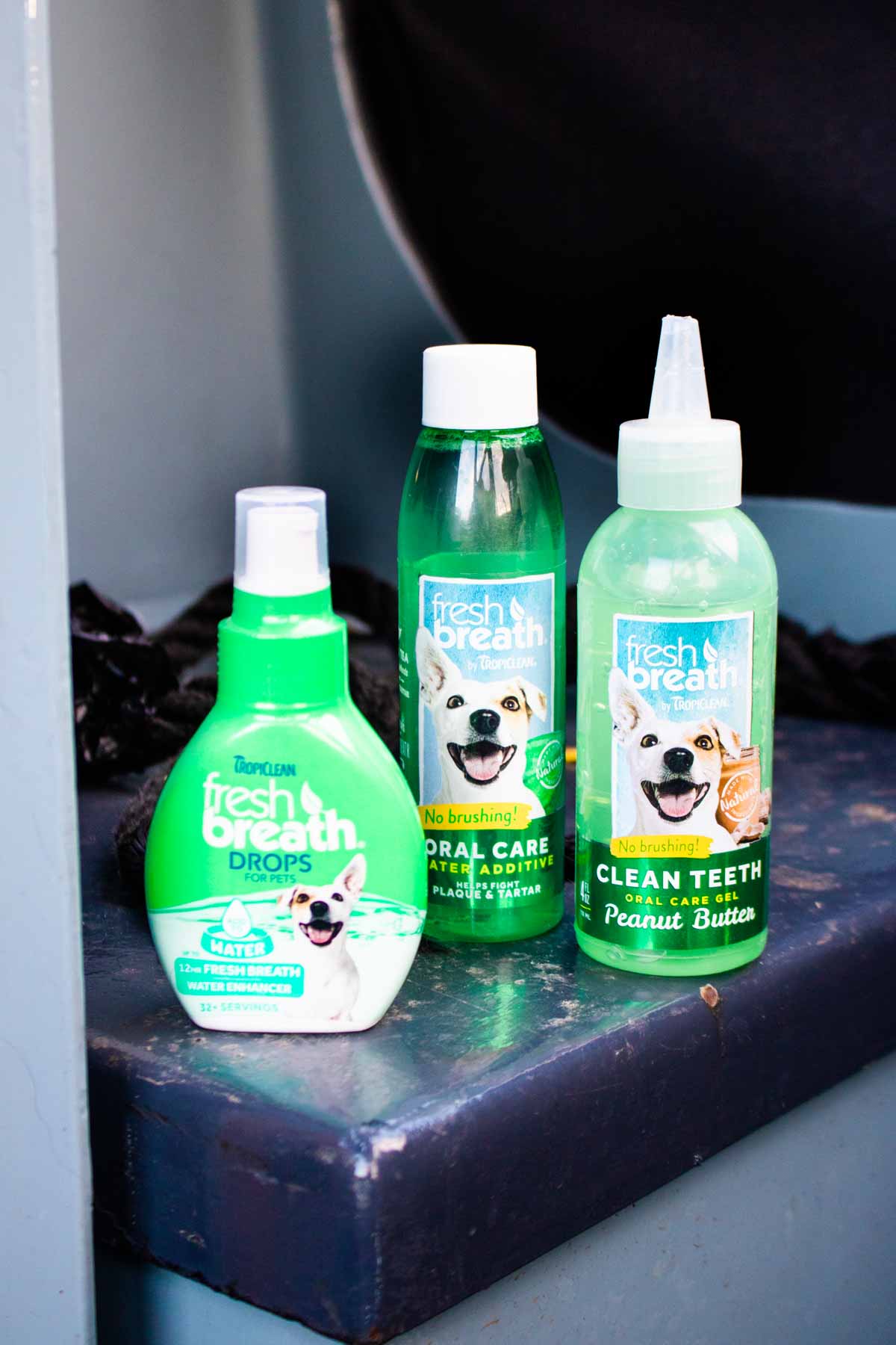 Close up of Tropiclean Fresh Breath products for cleaning pets teeth