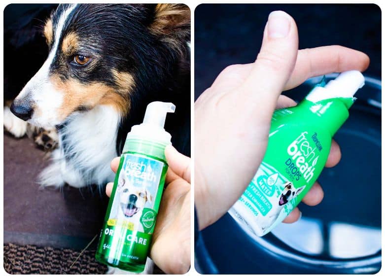 Collage of Tropiclean dental foam and Fresh Breath drops to add to water