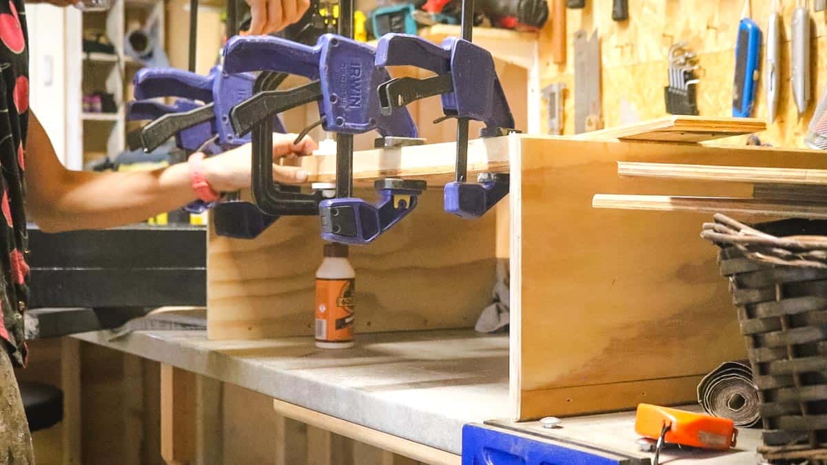 Clamped trim for dog shelf