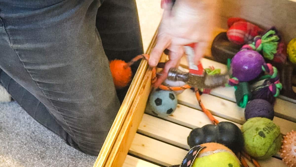 Nailing a dog on a rope drawer pully