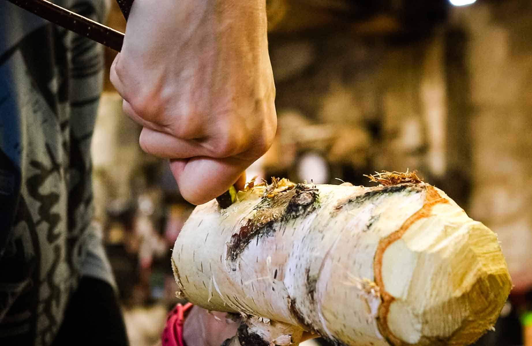 Poking reindeer branch antlers in a birch log