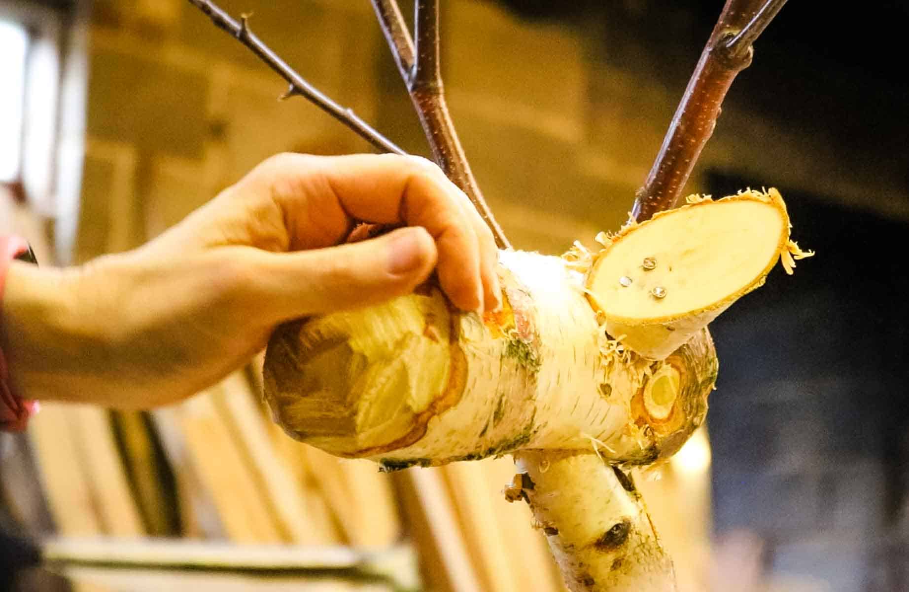 Close up of reindeer ears on a log