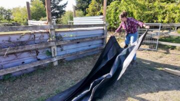 Laying ground membrane beside the existing fence before building the log store.