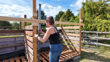 Joining the upper timber frame between the uprights.